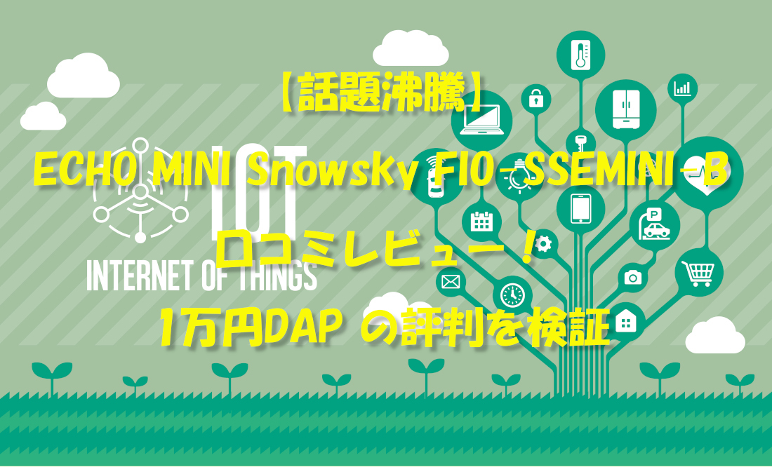 【話題沸騰】ECHO MINI Snowsky FIO-SSEMINI-B口コミレビュー!1万円DAP の評判を検証